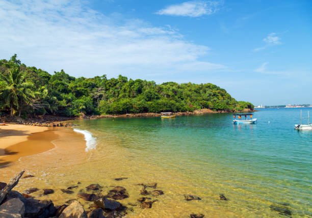 Jungle Beach on tropical coast indian ocean, Unawatuna, island Sri Lanka